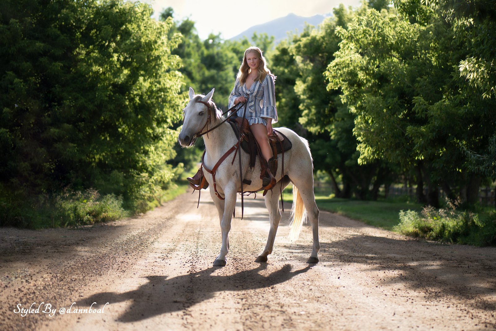 A young woman on horseback at golden hour